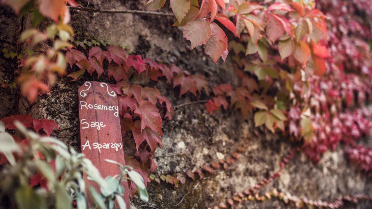 Villa Nuba,Con Private Spa Room, Camino A Legna Ogni Comfort, In Campagna A Due Passi Dal Cuore Del Centro Storico Di Perugia Zewnętrze zdjęcie